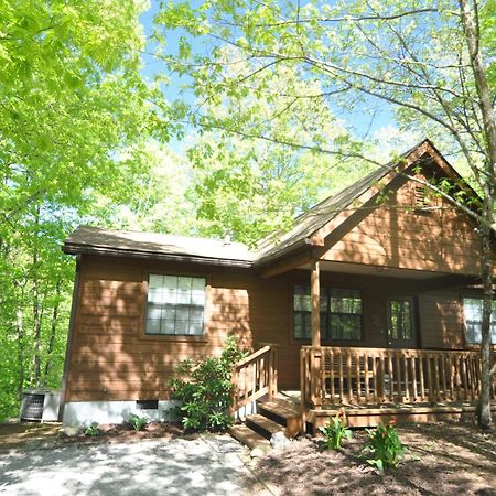 Adalynn'S Mountain Retreat-Hot Tub, 1089 Of Free Tickets For Each Paid Day, Dollywood And More! Пиджен-Фордж Экстерьер фото